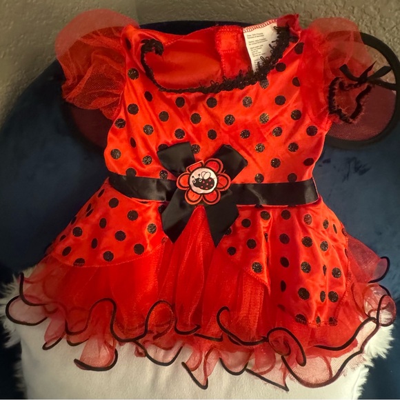 Baby girl Lady Bug Halloween costume/dress - Picture 1 of 3